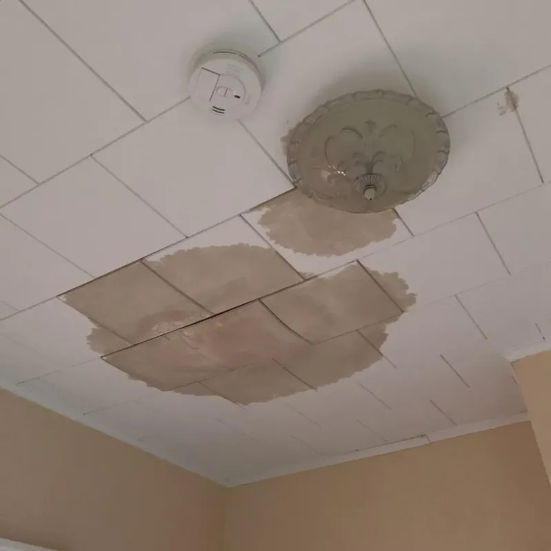 Ceiling Water Damage Repair in Adams County, NE