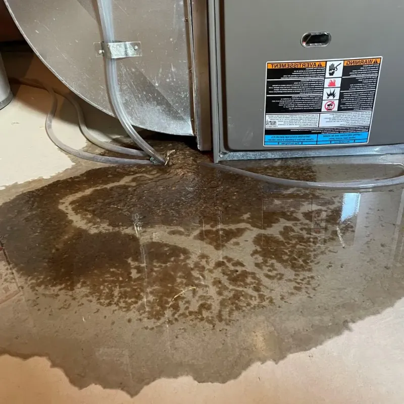 Pipe Burst and Leak Restoration in Adams County, NE