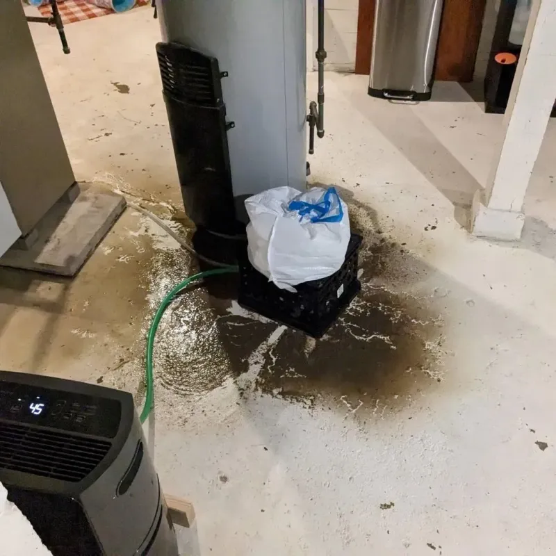 Sewage Backup Cleanup Service in Adams County, NE